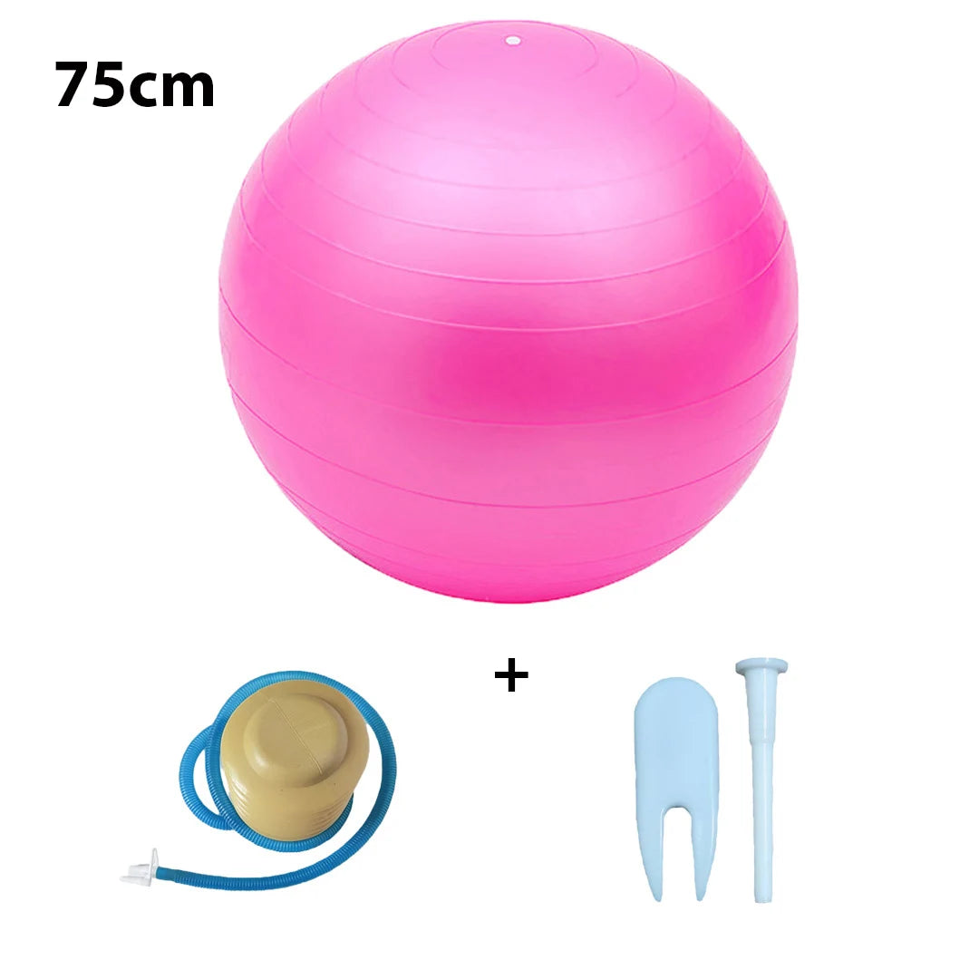 Multi-Purpose Yoga Exercise Ball 55-75cm with Foot Pump Kit Fitness Ball for Workout Pregnancy Pilates Office Sitting Home Gym